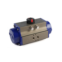 Pneumatic actuator