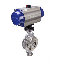 pneumatic high performance butterfly valve