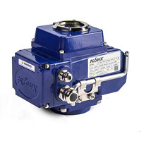 electric actuator