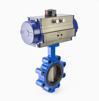 LT Lug Butterfly Valve