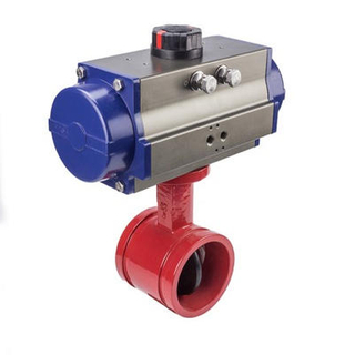 Its Butterfly Valve Expensive in Sprinkler System