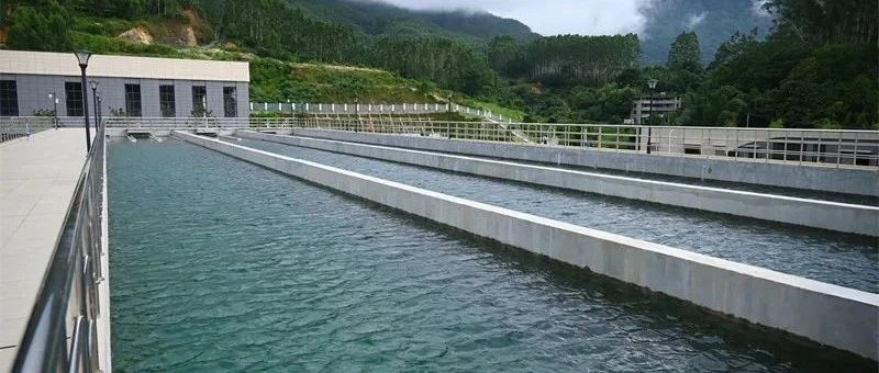 Commonly Used Valves in the Water Treatment Industry