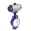 Butterfly Valve Supply In Abu Dhabi