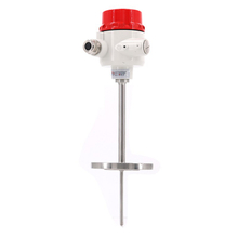 Flange Type - Temperature Mete