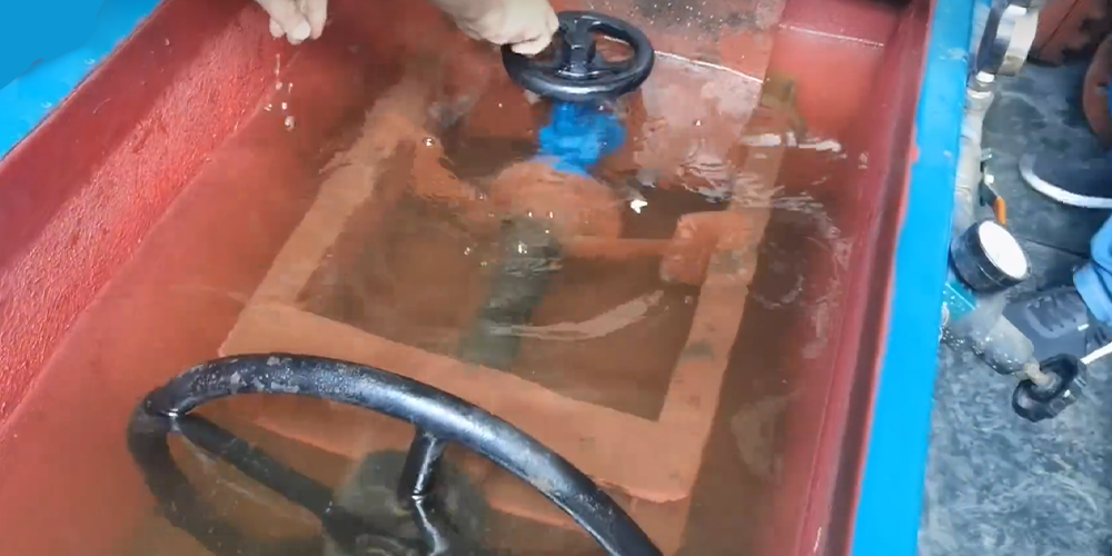 FLOWX-How to Test Valves2