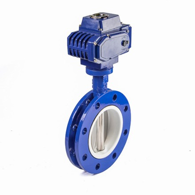 Butterfly Valve Dubai