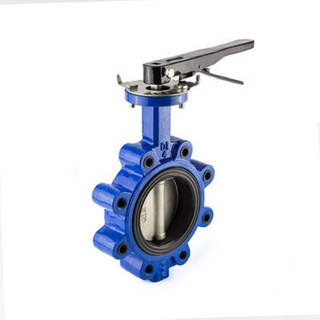 150mm Lugged Butterfly Valve Price South Africa