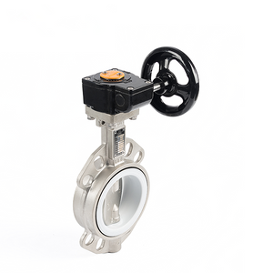 DN 18 Butterfly Valve Type with Gear