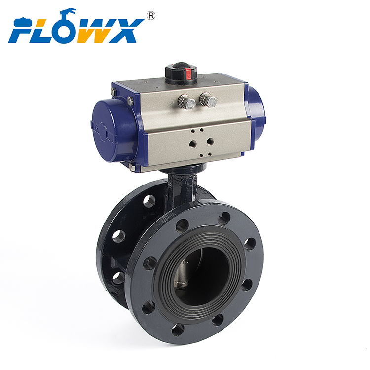 80mm Butterfly Valve with Flanges